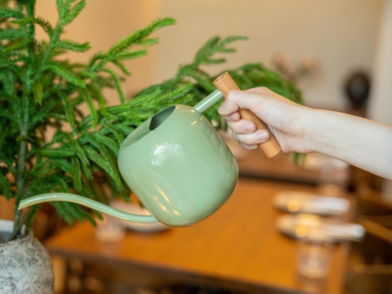 Green Moon Watering Can Indoor Plants 1.2L/41oz Sage Green Water Can Indoor Metal Small Water Can Pot with Long Spout for House Bonsai Plants Garden Flower Decorative - Image 4